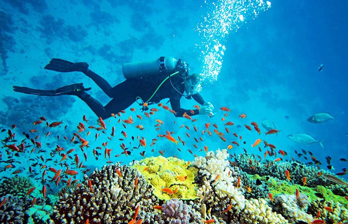 scuba diving hikkaduwa